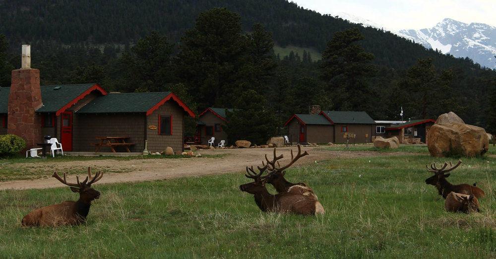 Tiny Town Cabins Estes Park Exterior foto