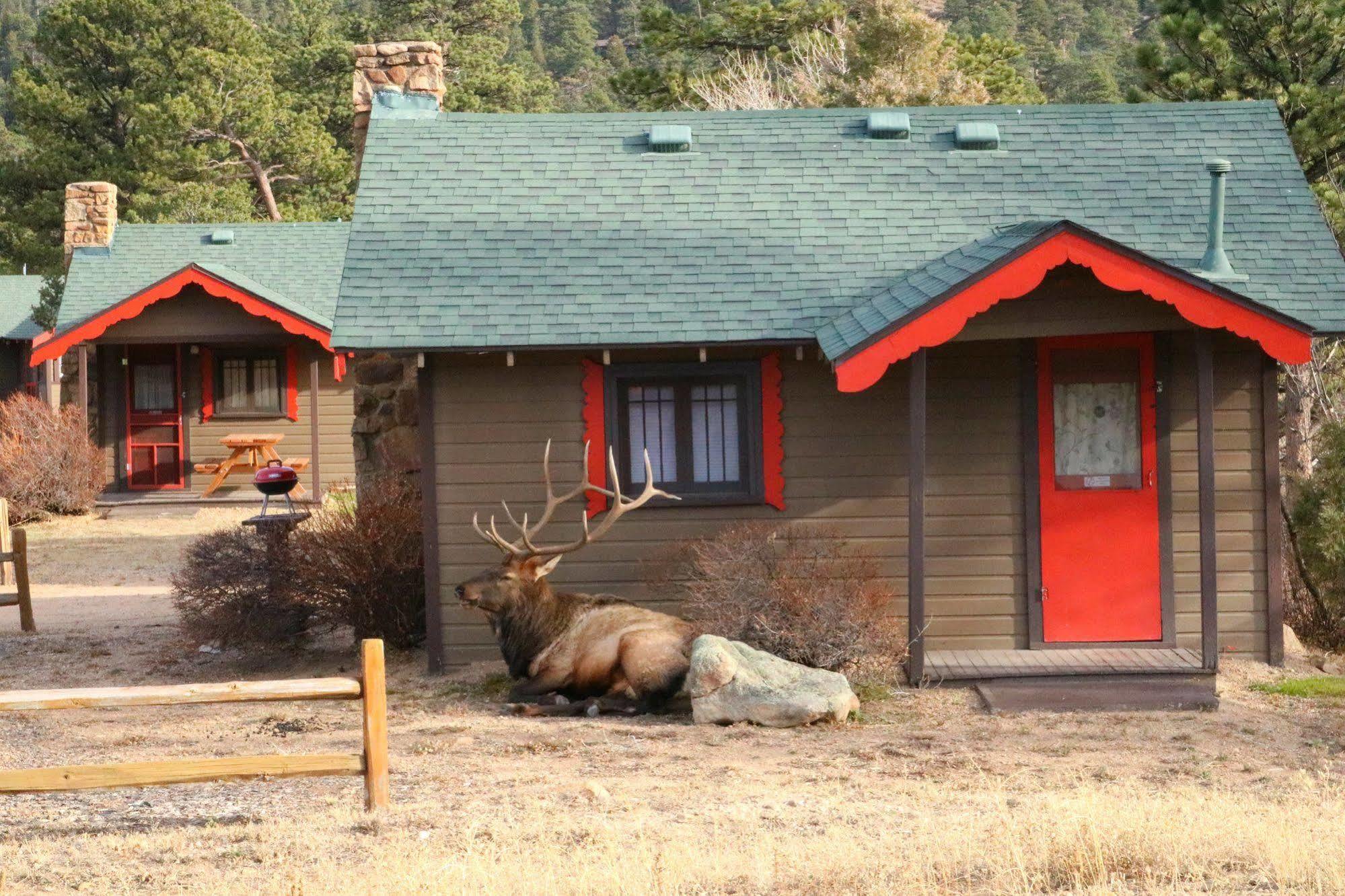 Tiny Town Cabins Estes Park Exterior foto